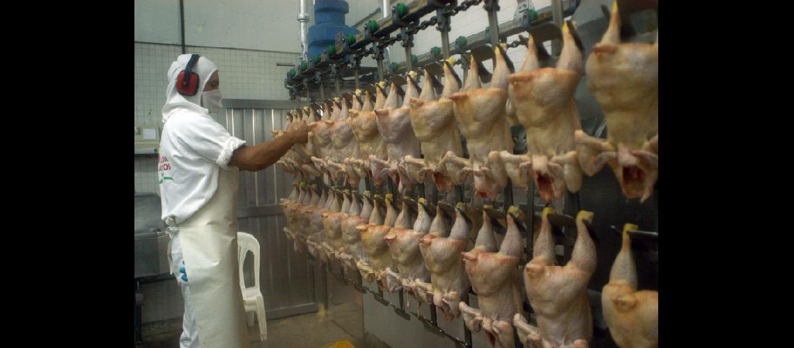  Ante el elevado precio de la carne bovina los consumidores optan por el pollo y el cerdo (INTERNET)
