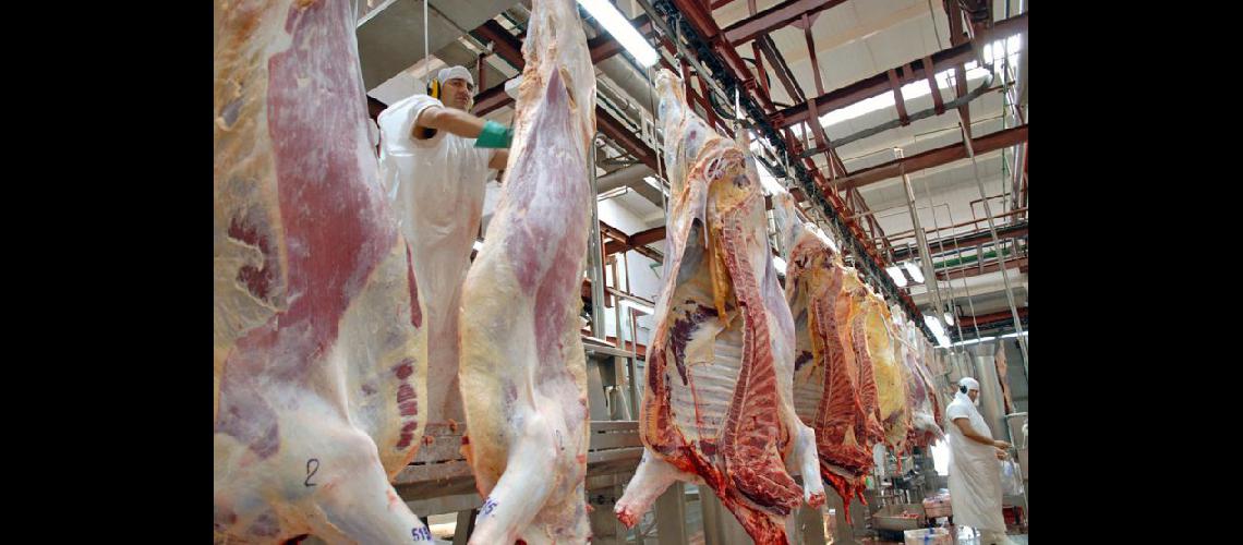  Factores originados en Rusia y la UE afectan el precio de la carne (NA) 