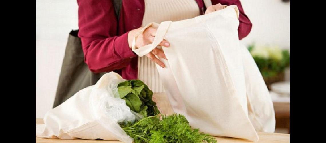 El objetivo de la Ley es dar paso a las bolsas biodegradables (INTERNET)