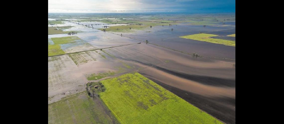  Las lluvias dañaron cultivos produjeron encharcamiento de los campos y la destrucción de caminos rurales  (INTA INFORMA)