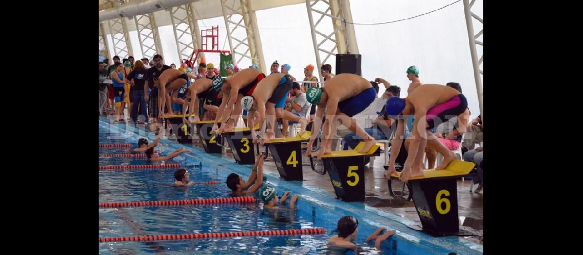  Fueron parte de la segunda fecha del Torneo de Invierno 350 nadadores entre federados y promocionales (LA OPINION)