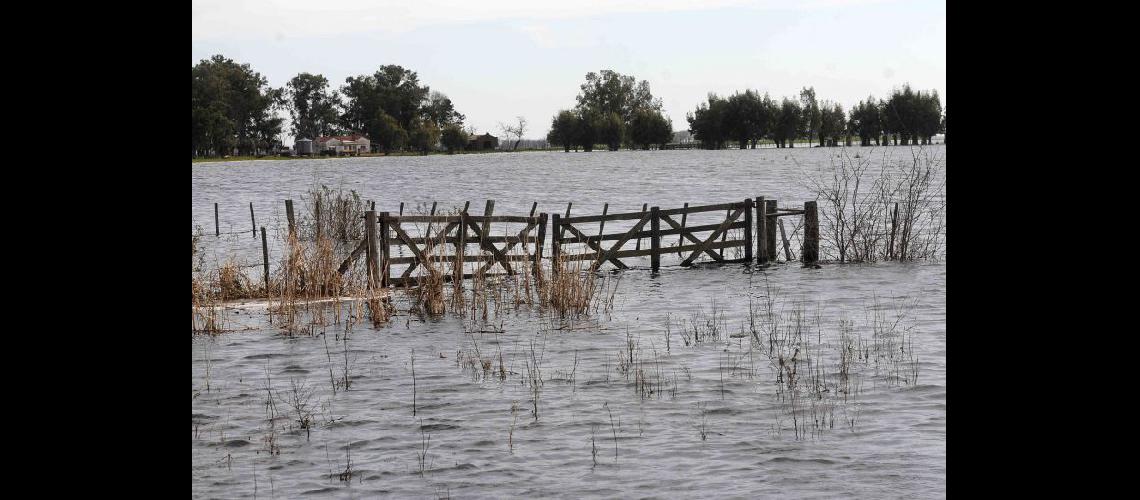  La experta hizo un diagnóstico poco alentador- posibles riesgos de inundaciones en el corto plazo (NA)