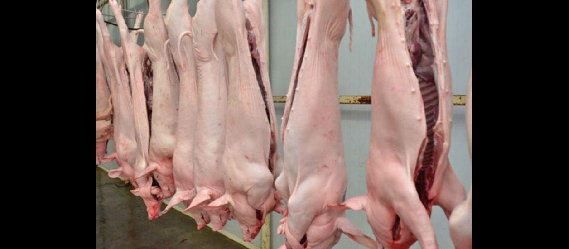  Los productores de cerdo dicen que se genera una competencia desleal (RADIODONCOMAR)