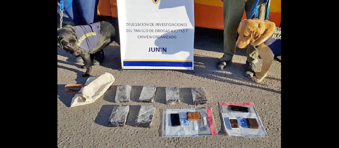  La Delegación Departamental de Drogas Ilícitas de Junín comenzó la investigación en 2016 (TNCOMAR)