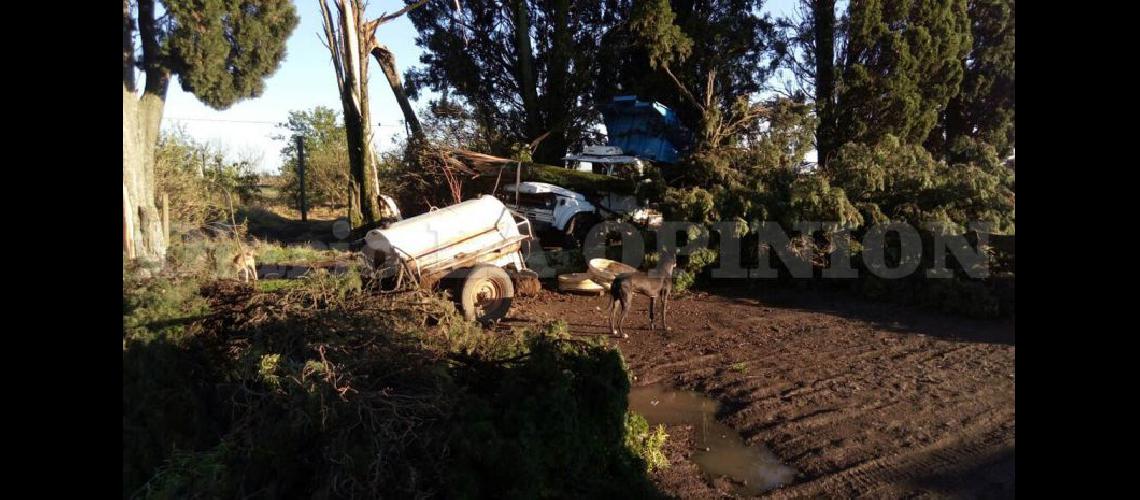  En el campo de la familia Teri un rbol se cayó sobre el capot de un camión en Ayerza (SEBASTIAN CAMPO)