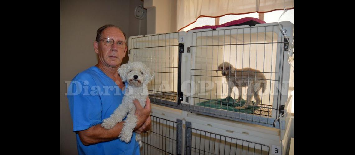  Pedro Manuel Petit refleja en su veterinaria de avenida Hipólito Yrigoyen 920 su gran pasión por los animales (LA OPINION)