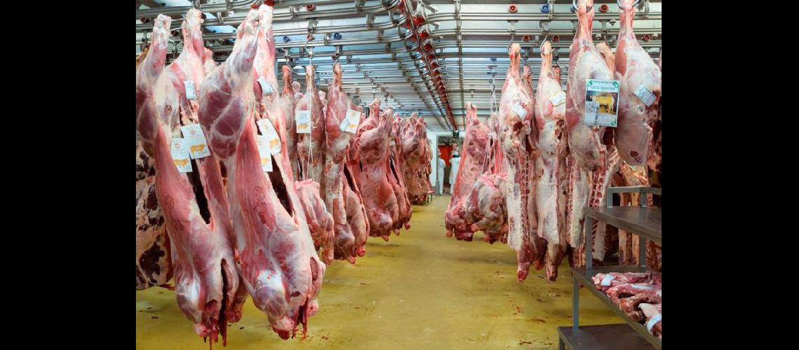  Pronostican que las exportaciones de carne vacuna crecern en 2018 (EL INTRANSIGENTE)