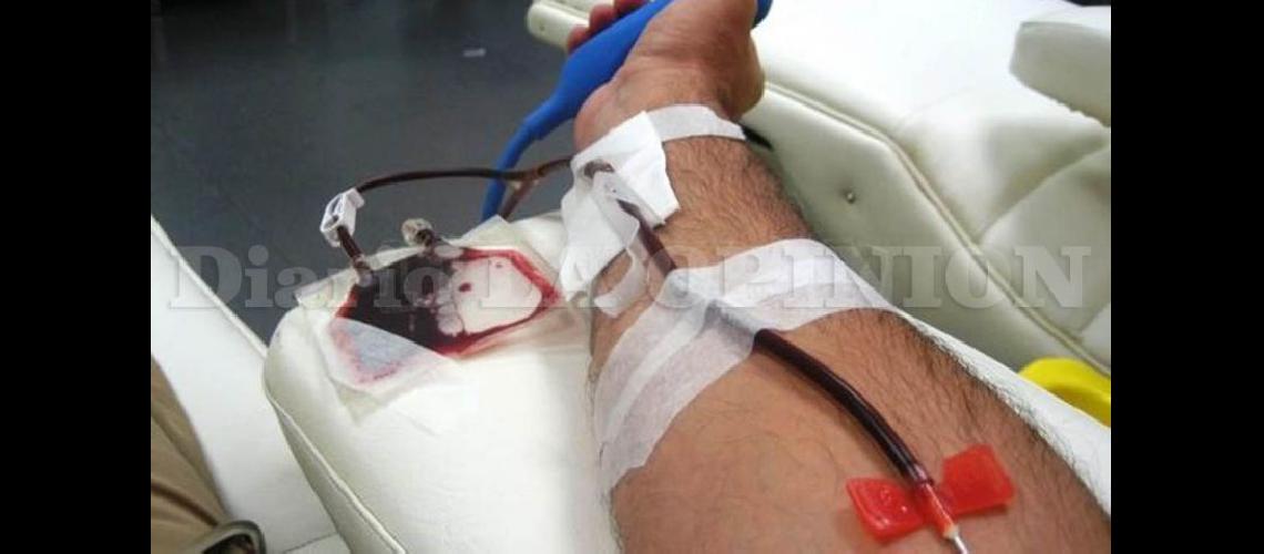  Una unidad de sangre y la voluntad de ingresar al registro puede contribuir a salvar vidas (ARCHIVO)