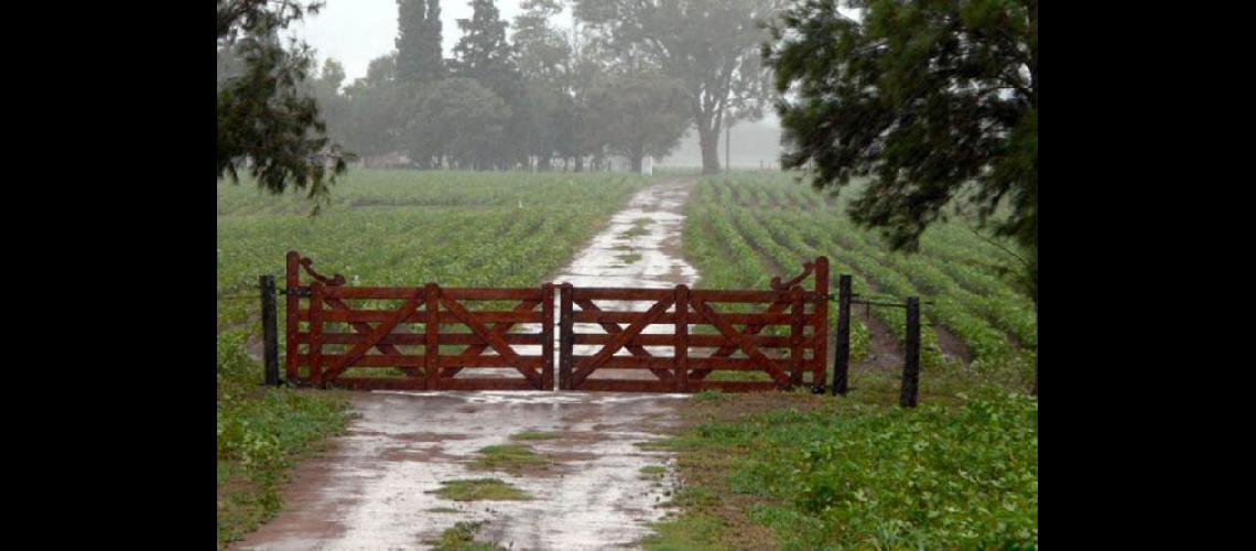  En la zona de Pergamino el pasado fin de semana se registraron lluvias importantes que cortaron la sequía (ARCHIVO)