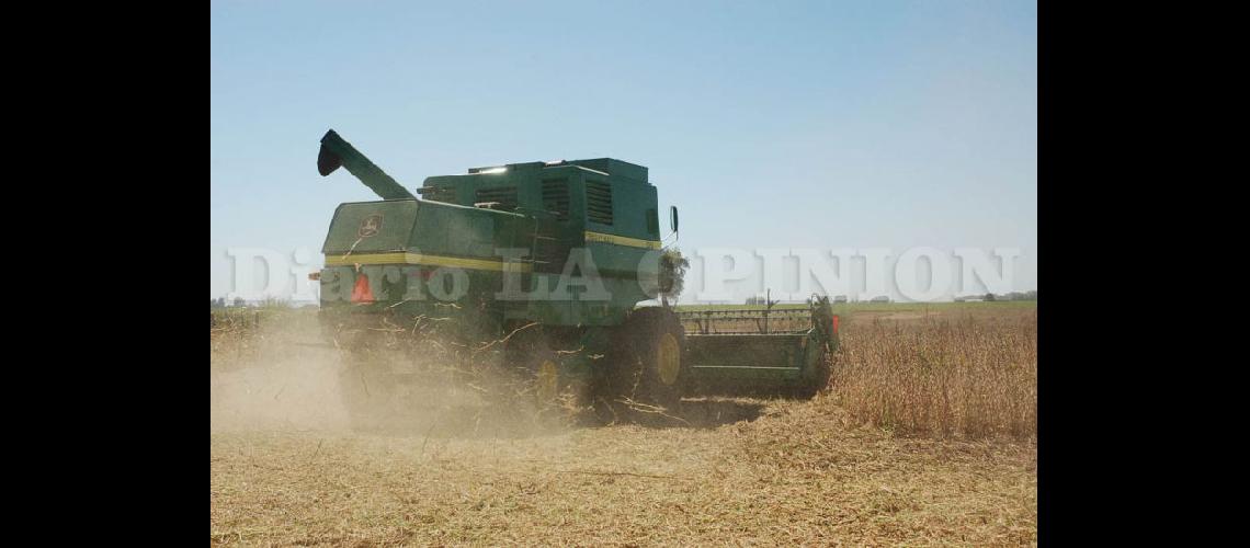  La región suma 500 mil toneladas en esta última semana de cosecha de soja (LA OPINION)