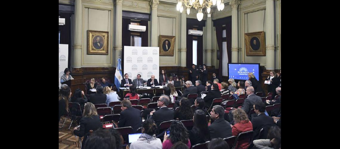  En el Senado expusieron especialistas entre juristas y médicos sobre la legalización del aborto (NOTICIAS ARGENTINAS)