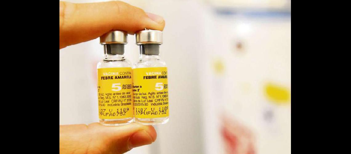  Aun se desconoce el rol que tendr el Instituto Maiztegui en la fabricación de la vacuna contra la Fiebre Amarilla (Anlis)