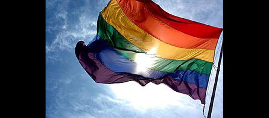  Durante la marcha se enarbolar la bandera del orgullo gay (WIKIPEDIA)