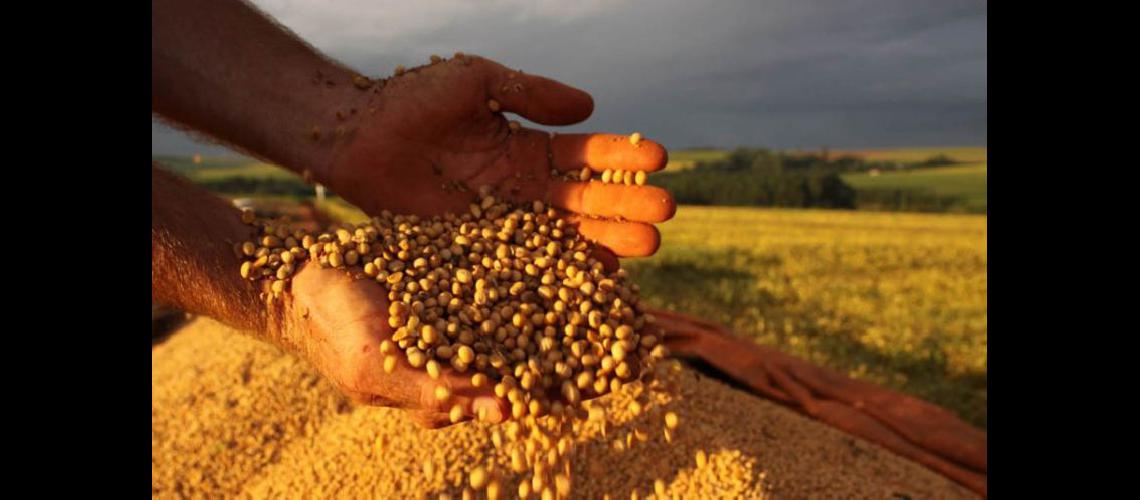  Seis de cada 10 granos se escurren de las manos del productor y van a los distintos niveles del Estado  (NA)