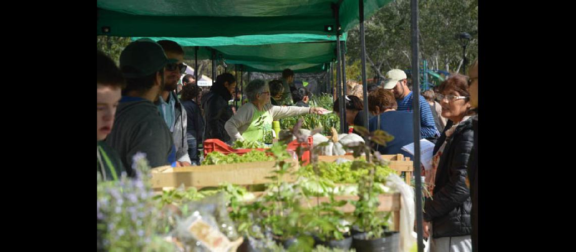  La Feria Verde es una muy buena propuesta para comprar alimentos de producción local (LA OPINION) 