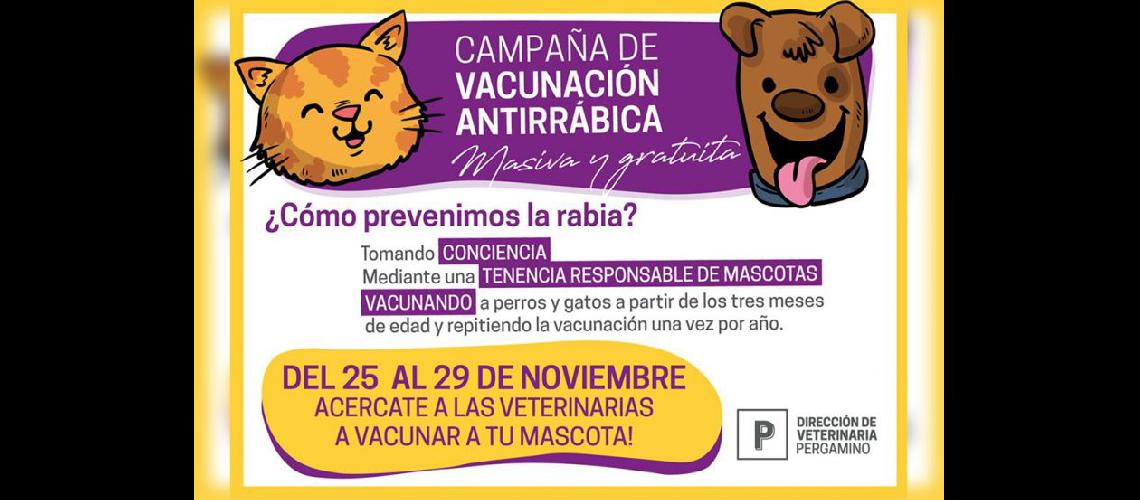  Hasta el viernes se podr inmunizar a las mascotas gratuitamente contra la rabia (LA OPINION)
