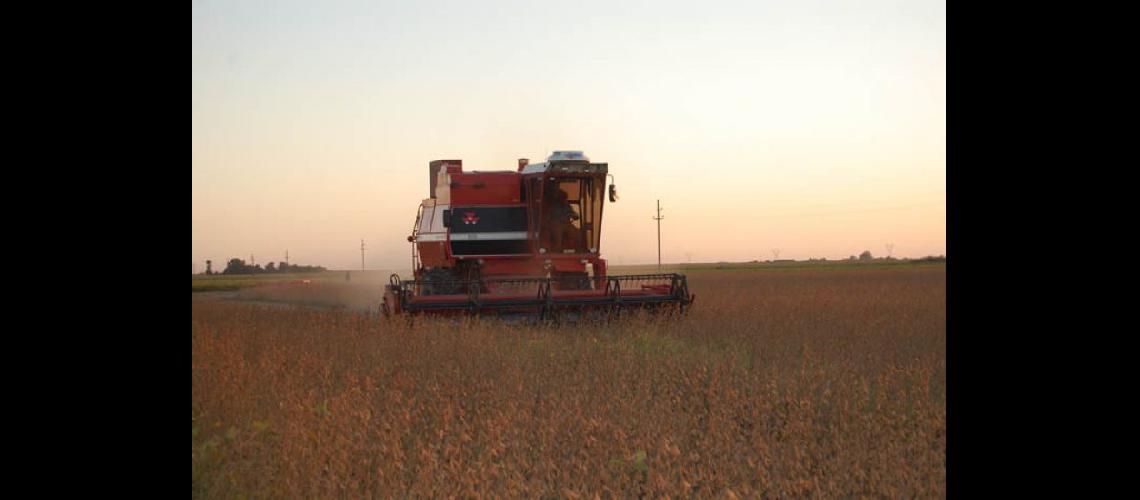  La Bolsa de Cereales de Buenos Aires estima que podría haber una retracción de 400000 hectreas en la siembra de soja en la próxima campaña (ARCHIVO)