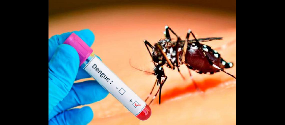  De los 2840 casos de dengue confirmados 235 requirieron internación (TELAM)