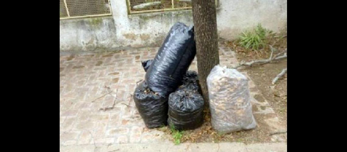  El jueves no habr recolección de residuos domiciliarios (ARCHIVO)