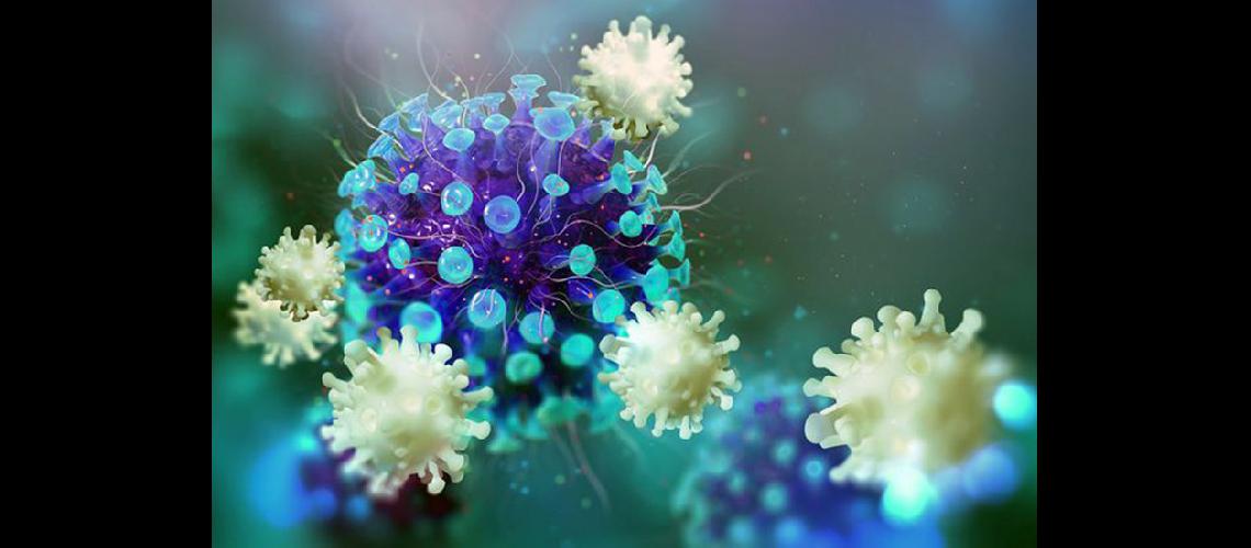  El sistema inmunológico produce un batallón de células T asesinas  (SHUTTERSTOCKCOM)
