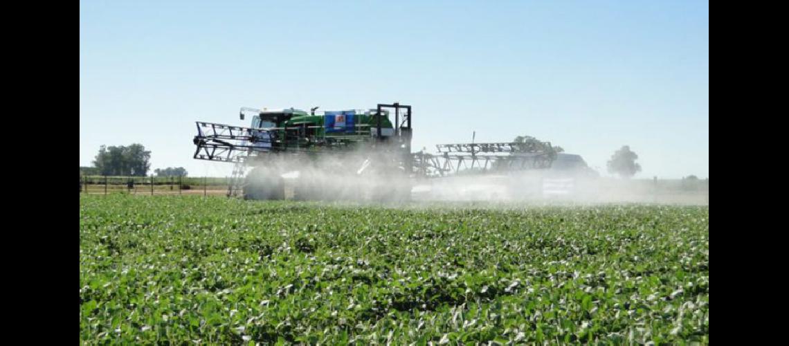  El Gobierno bonaerense prohibió el uso del agroquímico carbofuran (DIB)