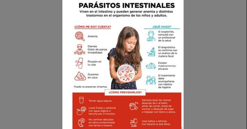 En la Argentina las parasitosis intestinales impactan principalmente en las poblaciones ms vulnerables