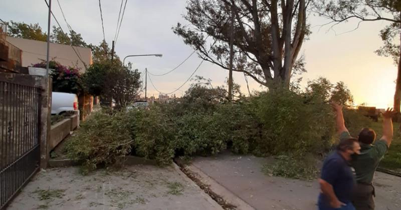 El lugar donde la poda ocasionó el corte de un cable