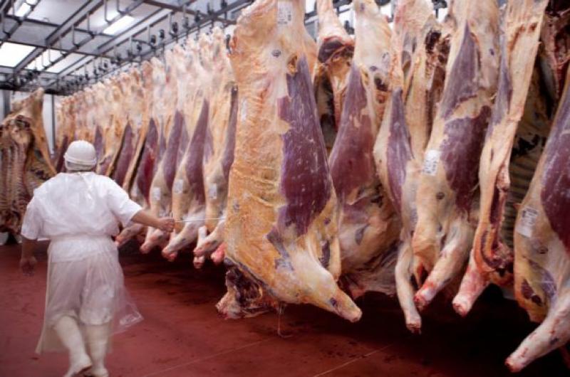 Desde el Ejecutivo indicaron que ya le comunicaron la medida al Consorcio de Exportadores de Carnes Argentinas