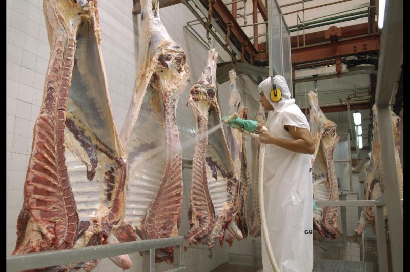 Kulfas anunció el nuevo esquema de exportaciones para la carne vacuna