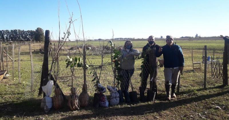 Garden Club Argentino est llevando a cabo una plantación de rboles en todas las ciudades