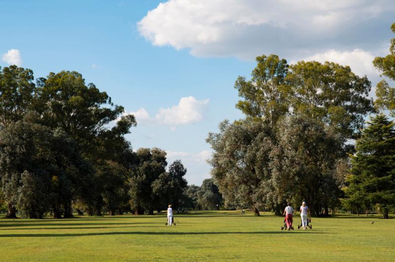 Golf- los resultados del torneo interno disputado en la Ciudad Deportiva  