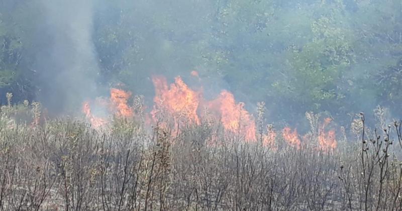 Los Bomberos tienen al menos 15 salidas diarias en lo que va de este antildeo