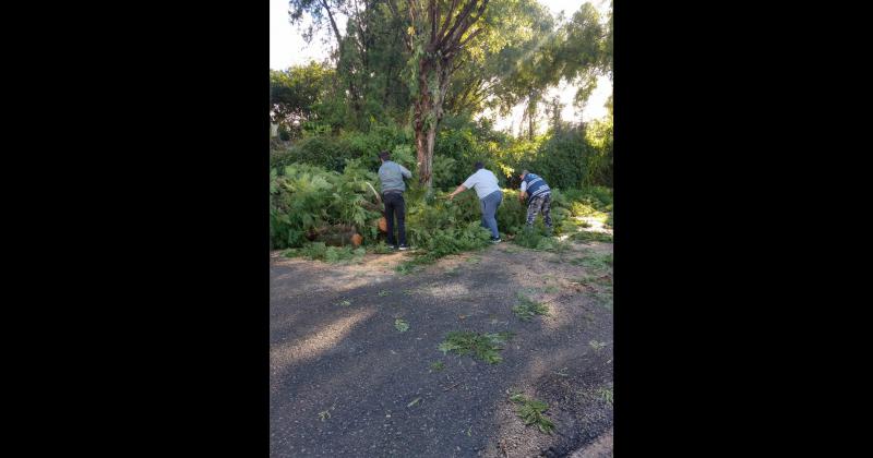 Maacutes fotos de la tormenta que registroacute vientos de hasta 80 kmh