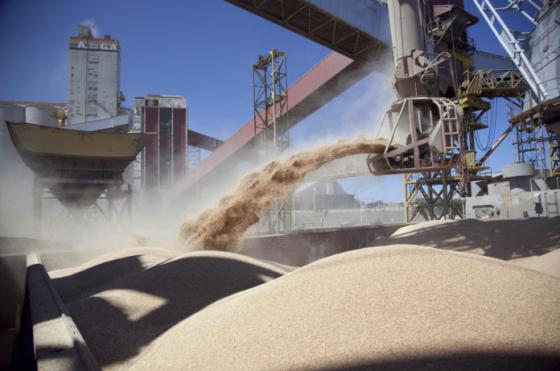 La Cmara de la Industria Aceitera Argentina (Ciara) salió rpidamente a repudiar la medida