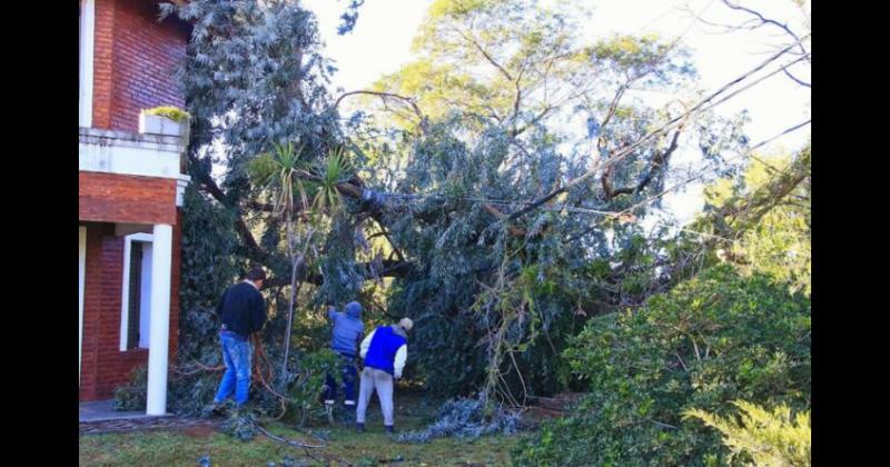 El viento generó inconvenientes en Junín