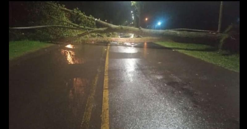 Las consecuencias del temporal no produjeron tantos daños en la ciudad