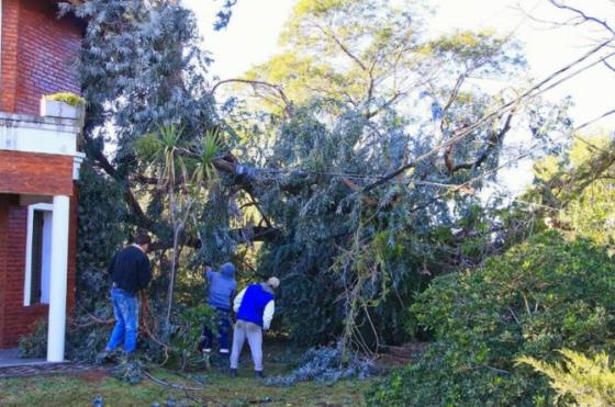 El viento generó inconvenientes en Junín