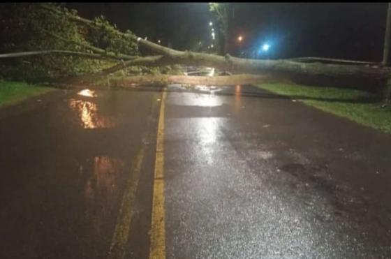 Las consecuencias del temporal no produjeron tantos daños en la ciudad