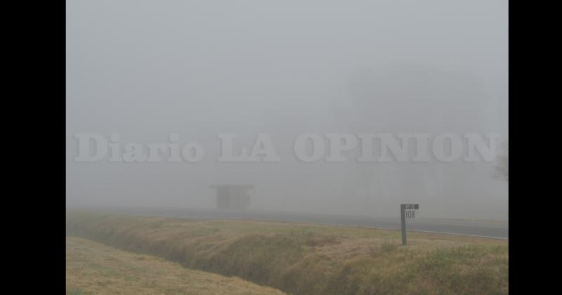 Otra imagen en un sector de la Ruta Nº 32 cerca del Inta Pergamino