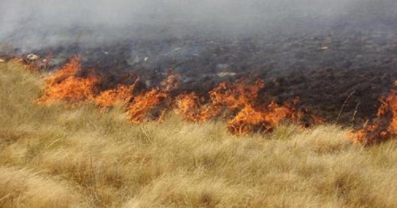 Muchas salidas de Bomberos est generando la quema de pastos y campos