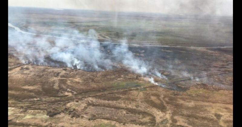 El fuego sigue afectando fuertemente al Delta del río Paran