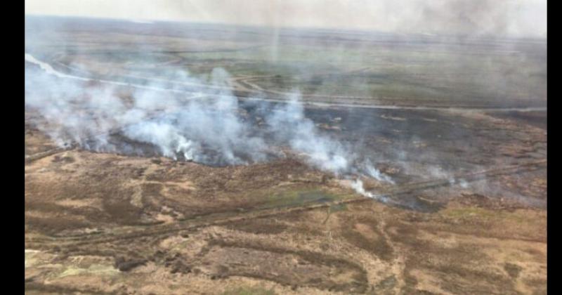 El fuego también sigue afectando fuertemente a Entre Ríos