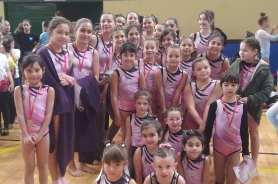 Las gimnastas de nuestra ciudad lograron positivas actuaciones en el certamen que se disputó el domingo