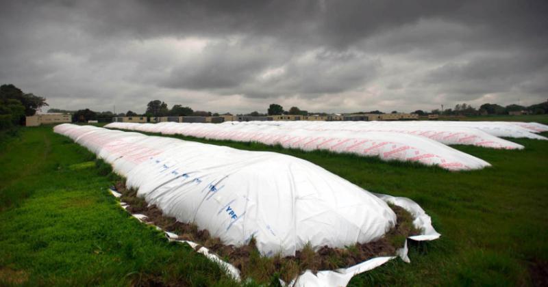 Los productores comercializaron 600 mil toneladas y acumularon casi 9 millones en diez jornadas