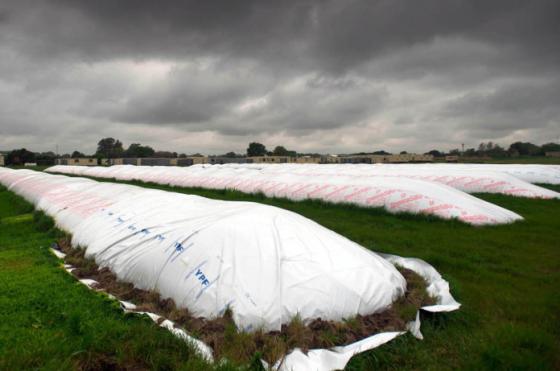 Los productores comercializaron 600 mil toneladas y acumularon casi 9 millones en diez jornadas