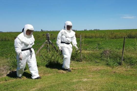 La Fiebre Hemorrgica Argentina es una enfermedad grave endémica de Argentina