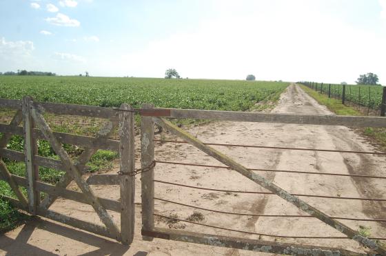 Se debe dar seguridad a 3600 kilómetros de caminos rurales