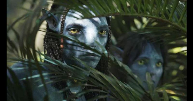 Avatar 2 En los últimos días tuvo el 87-en-porciento- de los tickets vendidos en el país