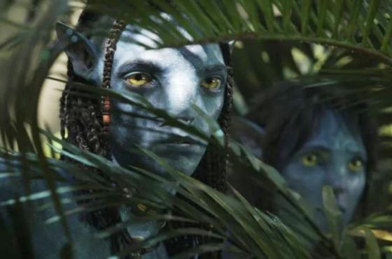 Avatar 2 En los últimos días tuvo el 87-en-porciento- de los tickets vendidos en el país