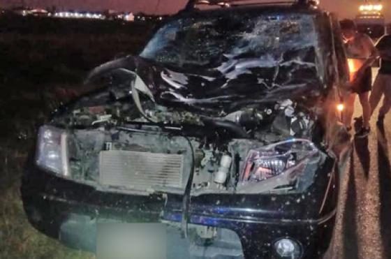La camioneta Nissan sufrió daños importantes al impactar con un caballo suelto